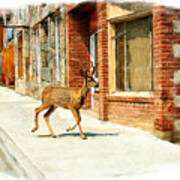 Deer Running Downtown Challis, Idaho Art Print
