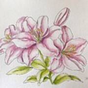 Delicate Lilies Art Print