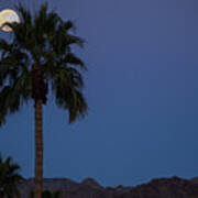 Desert Snow Full Moon Rise, Palm Tree Silhouette Art Print