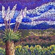 Desert Yuccas Art Print