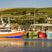 Dingle Fishing Fleet Art Print