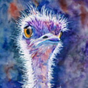 Dizzy Ostrich Art Print