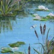 #129 Dragonfly On A Pond #129 Art Print