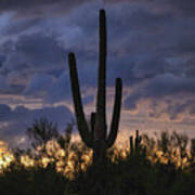 Dramatic Sunset Skies Of The Sonoran Art Print