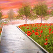 Dreamy Walk In Poppies Art Print