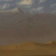 Dust On The Dunes Art Print
