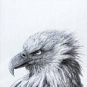 Eagle Eye Profile Art Print