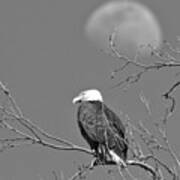 Eagle Under The Rising Moon Black And White Art Print