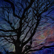 Electric Beech Branches Art Print