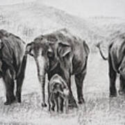 Elephants In A Row Art Print