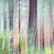 Ephemeral Forest In Fall Art Print