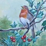 European Robin Art Print