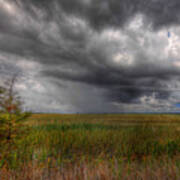 Everglades Storm Art Print