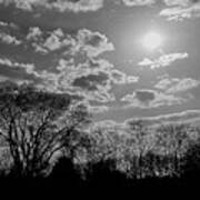 Everything Under The Sun Is Perfection Bw Art Print
