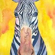 Exotic Zebra Art Print