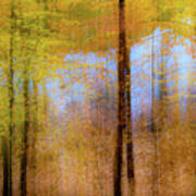 Fairytale Woods Yellows Art Print