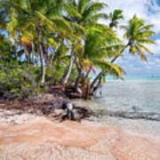 Fakarava - Pink Sands And Coconut Trees Art Print