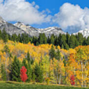 Fall Color, Rocky Mountains, Bc, Canada Art Print