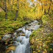 Fall Colors At Mcgee Creek Art Print