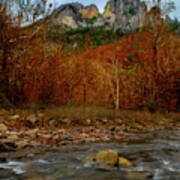 Fall Scene With Stream And Seneca Rocks Art Print