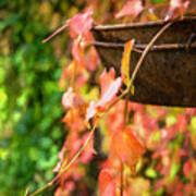 Fall Vines And Copper Basket 2 Art Print