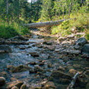 Fallen Log Over A Mountain Stream Art Print