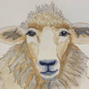 Farm Sheep Art Print
