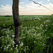 Fencepost And  Wildflowers Art Print