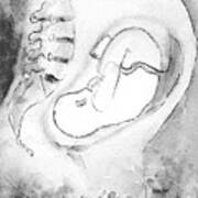 Fetus Scan Black And White Art Print