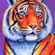 Fiery Beauty - Colorful Bengal Tiger Art Print