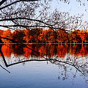 Fiery Colors On The Lake Art Print