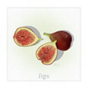 Figs Fresh Fruits Art Print