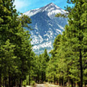 Flagstaff Arizona Road To Mountains Art Print