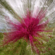 Floral Fireworks -  Abstract Zooming Motion Of Flowering Trees Art Print
