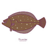 Flounder Art Print