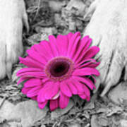 Flower Pawer-pink Art Print