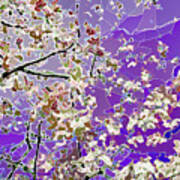 Flowering Tree Abstract Art Print