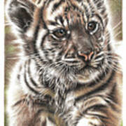 Fluffy Tiger Cub Art Print