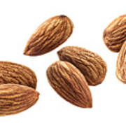 Flying Almond Isolated On White Background With Clipping Path Art Print
