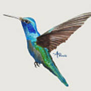 Flying Hummingbird I Art Print