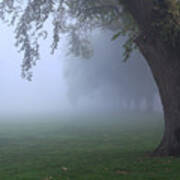 Fog At The Oval On Campus Art Print
