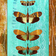 Four Butterflies Entemology Society Of London Art Print