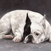 French Bulldog Painting Art Print