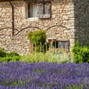 French Stone Farmhouse On A Lavender Farm Three Art Print