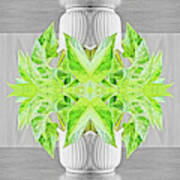 Fresh Green Plant Surreal Shaped Symmetrical Kaleidoscope Art Print