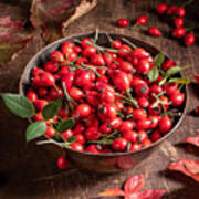 Fresh Rose Hips In A Bowl On A Table Art Print