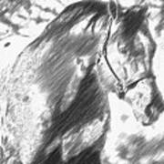 Friendly Appaloosa Horse - Pencil Sketch Effect Art Print