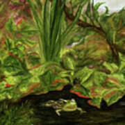 Frog Medicine Art Print