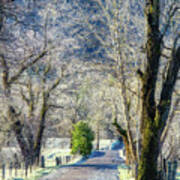 Frosty Morning In Cades Cove #9159 Art Print