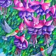 Fuchsia Frolic Art Print